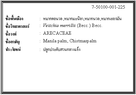 กล่องข้อความ: 7-50100-001-225 ชื่อพื้นเมือง : หมากคอนวล,หมากมะนิลา,หมากนวล,หมากเยอรมัน ชื่อวิทยาศาสตร์ : Veitchia merrillii (Becc.) Becc. ชื่อวงศ์ : ARECACEAE ชื่อสามัญ : Manila palm, Chistmaspalm ประโยชน์ : ปลูกประดับสวนกลางแจ้ง